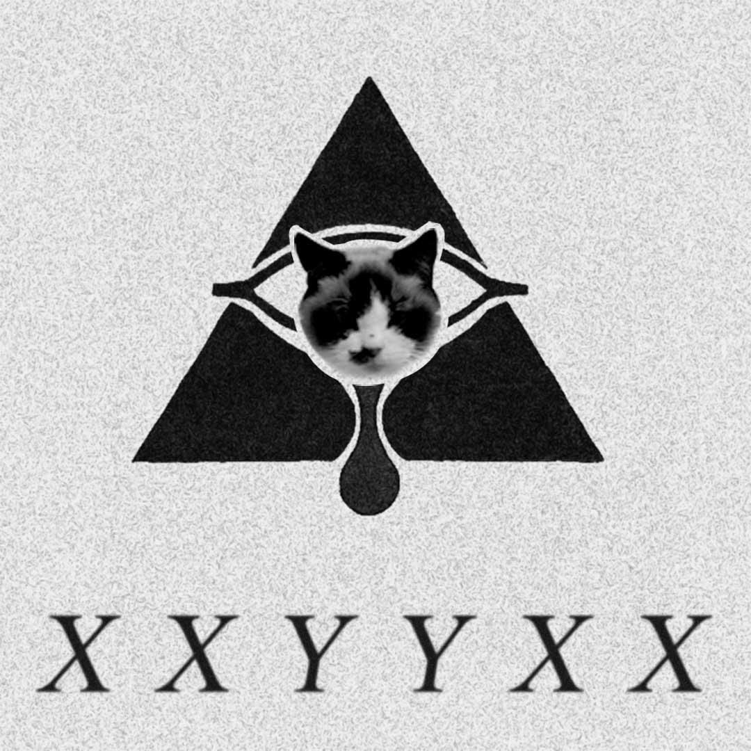 XXYYXX About You